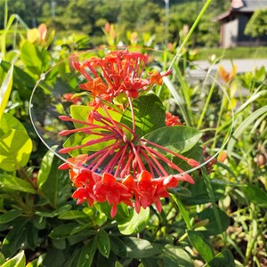 AR玻璃，超白玻璃，白玻的透光率排名