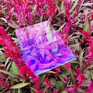 AG玻璃和AR玻璃的區(qū)別是什么？